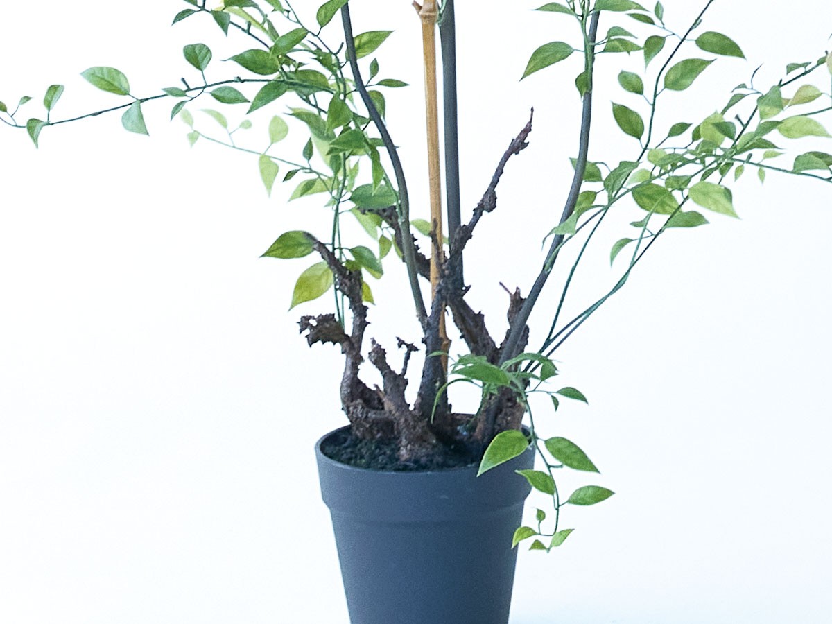 BROWN Riberry Pot / ブラウン ライベリー ポット 105 （花器・プランター・グリーン > フェイクグリーン・フェイクフラワー） 5