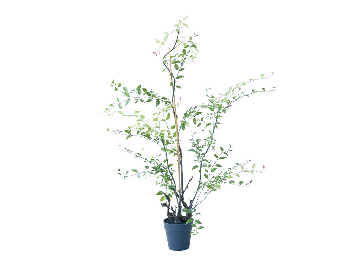 BROWN Riberry Pot / ブラウン ライベリー ポット 105 (花器・プランター・グリーン > フェイクグリーン・フェイクフラワー) 1