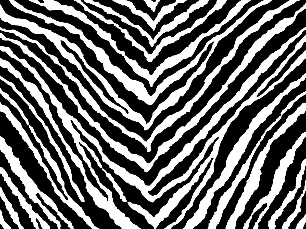 Artek Zebra Cushion Cover / アルテック ゼブラ ウール クッションカバー 40 × 40