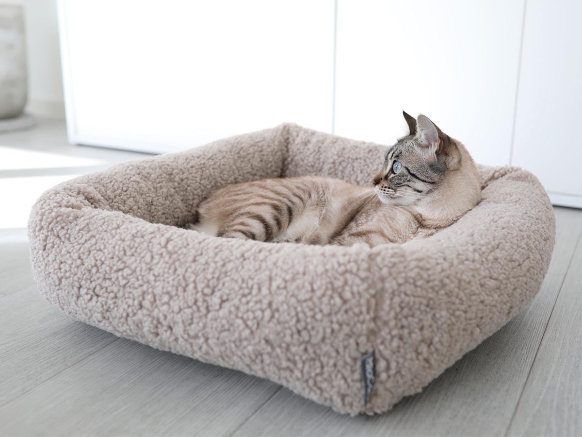 MiaCara Senso Cat Bed / ミアカラ センソ キャットベッド - インテリア・家具通販【FLYMEe】