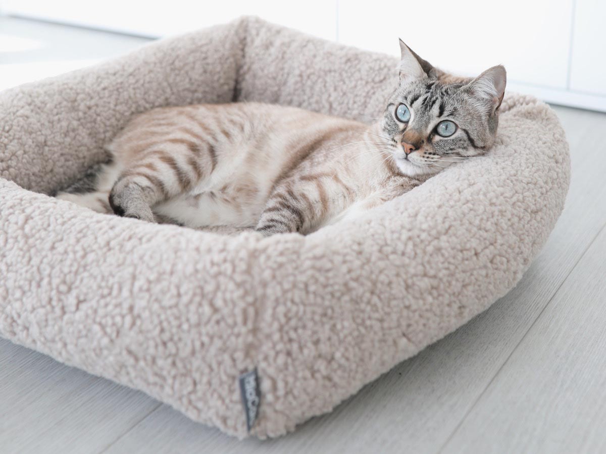 MiaCara Senso Cat Bed / ミアカラ センソ キャットベッド （雑貨・その他インテリア家具 > ペット用品・家具） 4