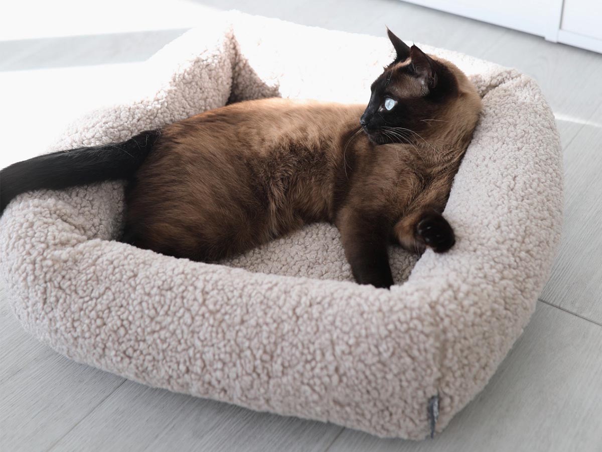 MiaCara Senso Cat Bed / ミアカラ センソ キャットベッド （雑貨・その他インテリア家具 > ペット用品・家具） 7