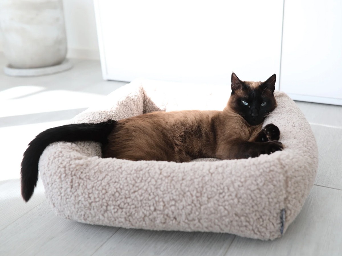 MiaCara Senso Cat Bed / ミアカラ センソ キャットベッド （雑貨・その他インテリア家具 > ペット用品・家具） 6