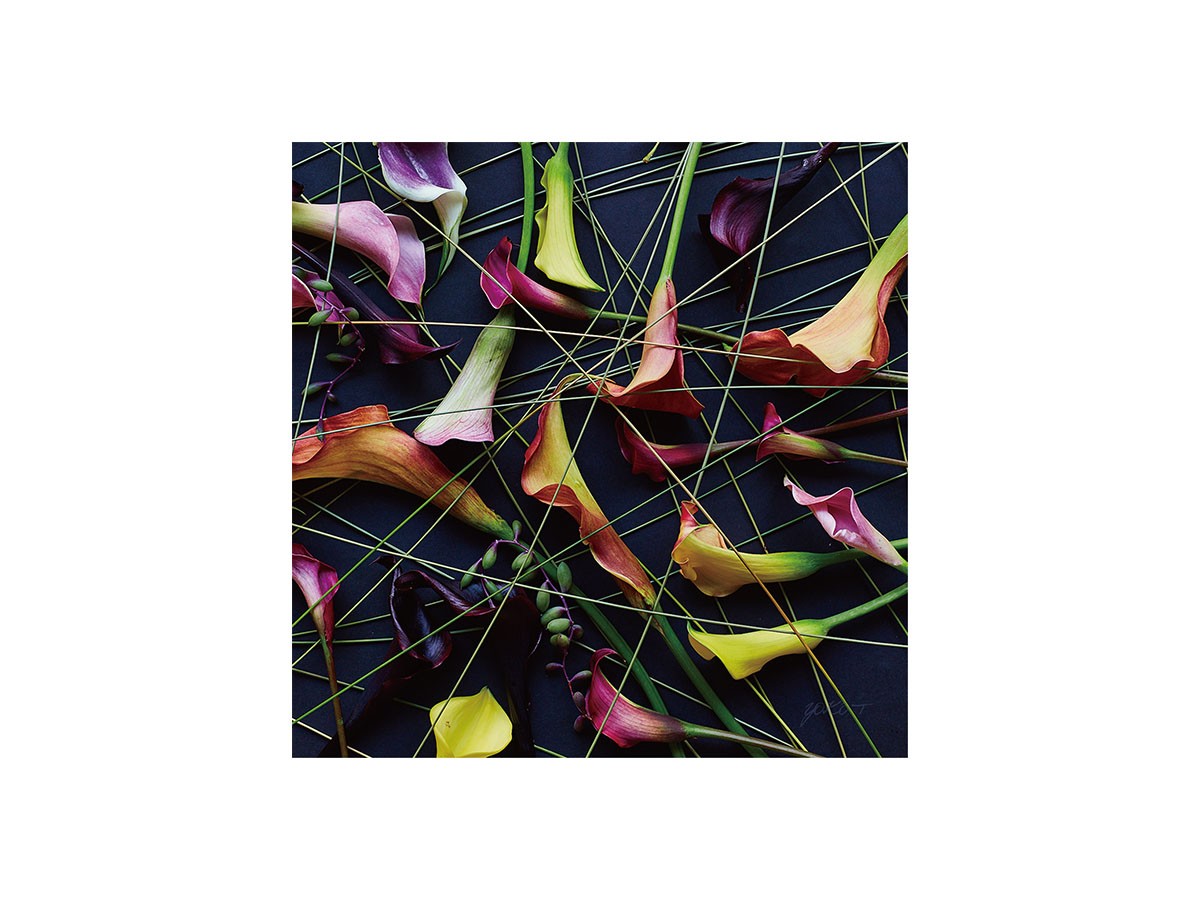 Geometric Scrumble Calla