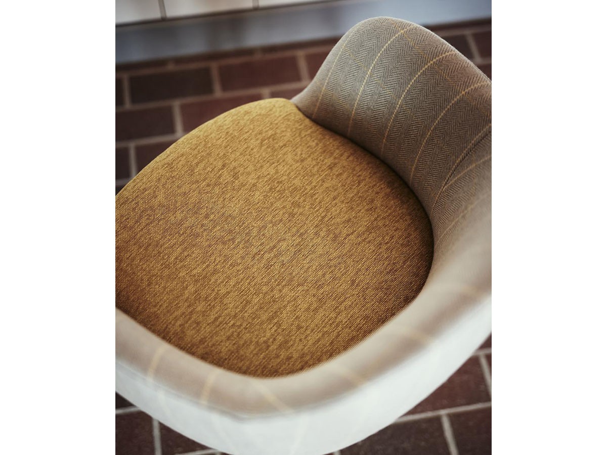 Coccole LOUNGE CHAIR / コッコレ ラウンジチェア C229 （チェア・椅子 > ラウンジチェア） 14