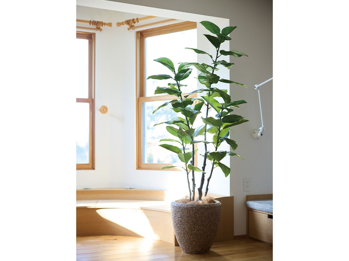 BROWN Ficus Elastica Pot / ブラウン フィカス エラスティカ ポット 195 （花器・プランター・グリーン > フェイクグリーン・フェイクフラワー） 2