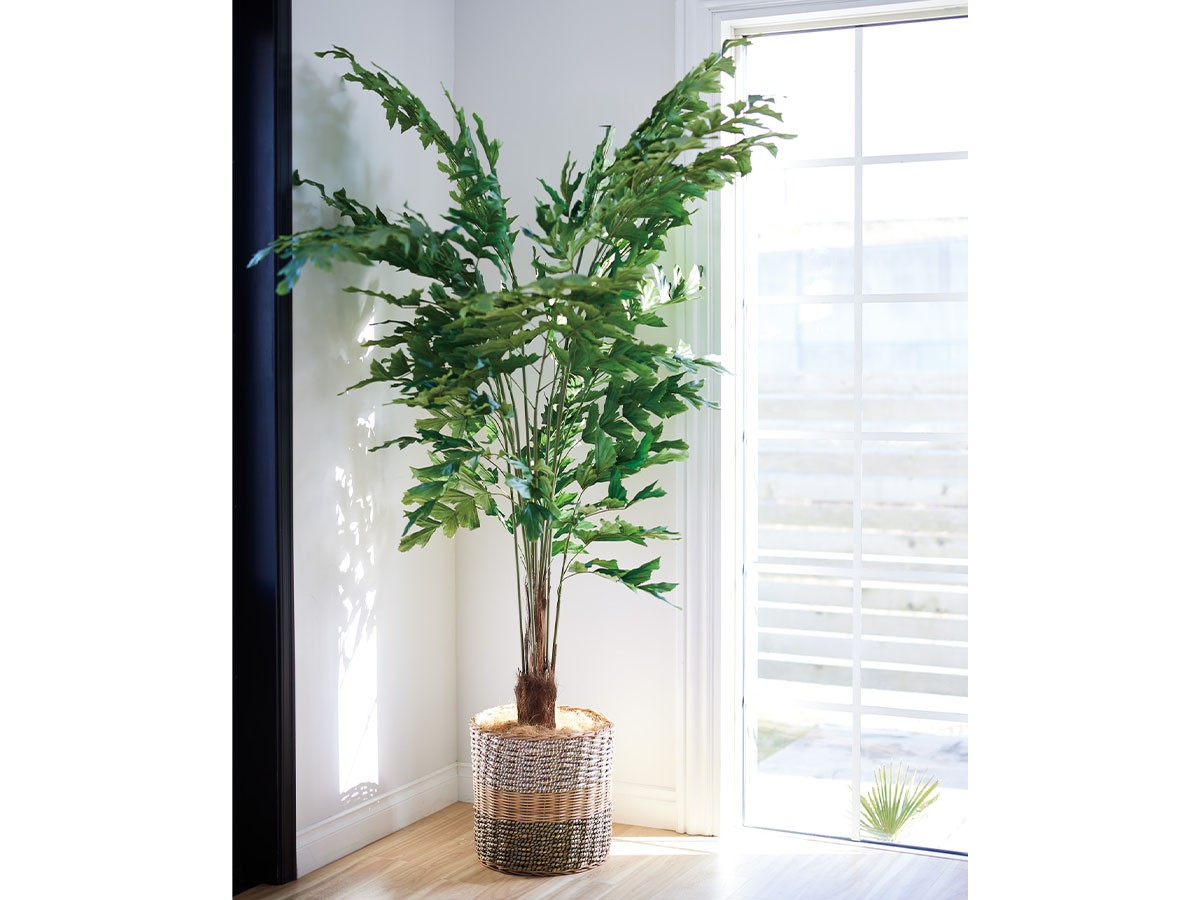 BROWN Peacock Palm Pot / ブラウン クジャクヤシ ポット 210 （花器・プランター・グリーン > フェイクグリーン・フェイクフラワー） 2