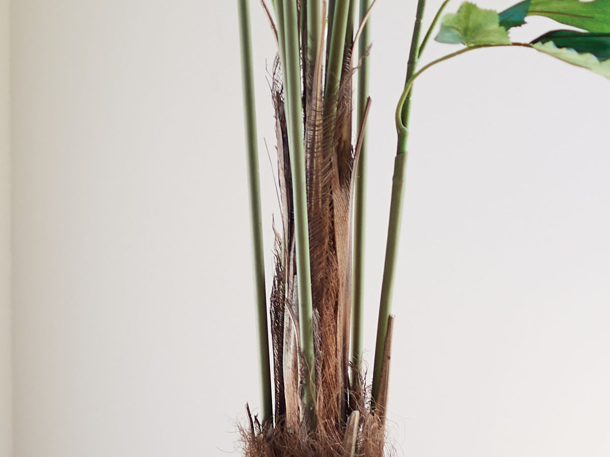 BROWN Peacock Palm Pot / ブラウン クジャクヤシ ポット 210 （花器・プランター・グリーン > フェイクグリーン・フェイクフラワー） 5