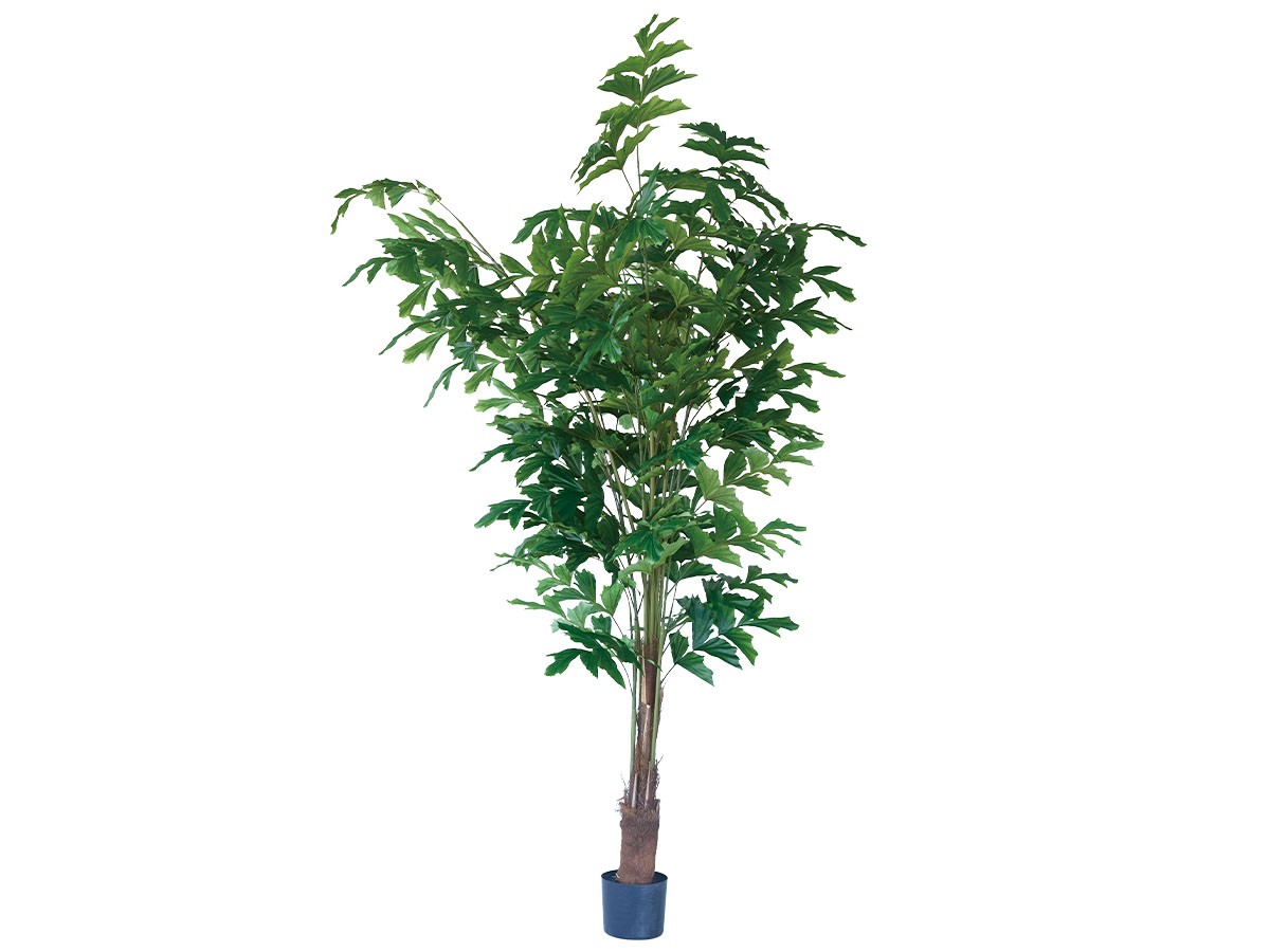BROWN Peacock Palm Pot / ブラウン クジャクヤシ ポット 210 (花器・プランター・グリーン > フェイクグリーン・フェイクフラワー) 1