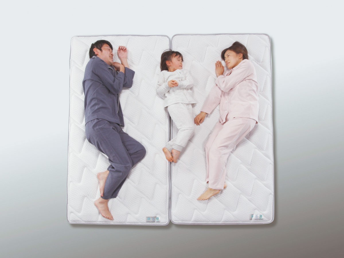 FRANCE BED Life Treatment Mattress
LT-Lex2 / フランスベッド ライフトリートメント マットレス
LT-Lex2 ソフト （ベッド・寝具 > マットレス） 10