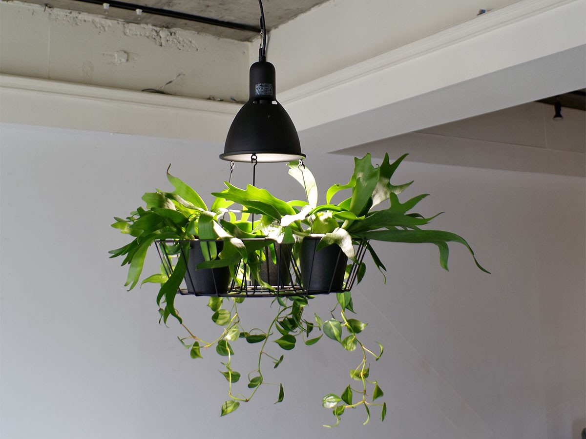 FLYMEe Factory Green Pendant Light / フライミーファクトリー