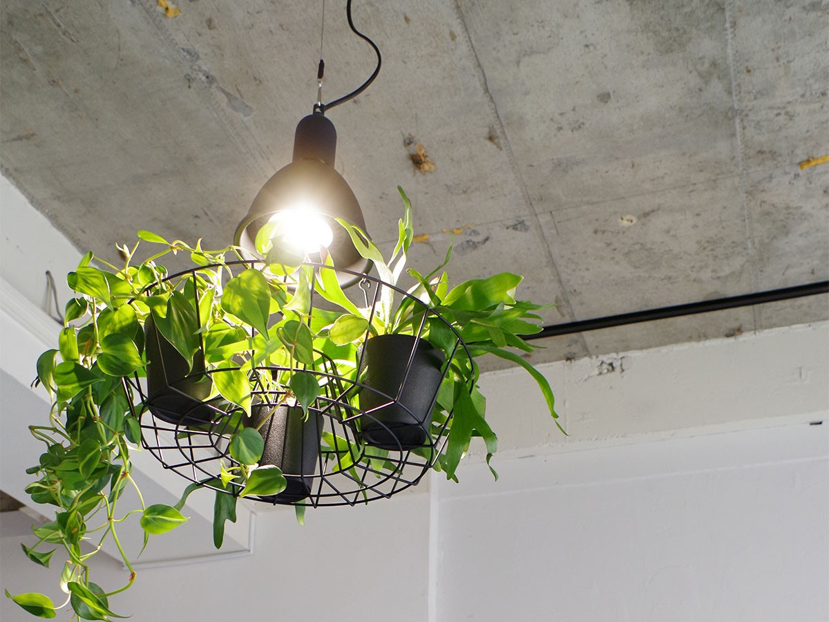 Green Pendant Light / グリーン ペンダントライト #121947 （ライト・照明 > ペンダントライト） 5