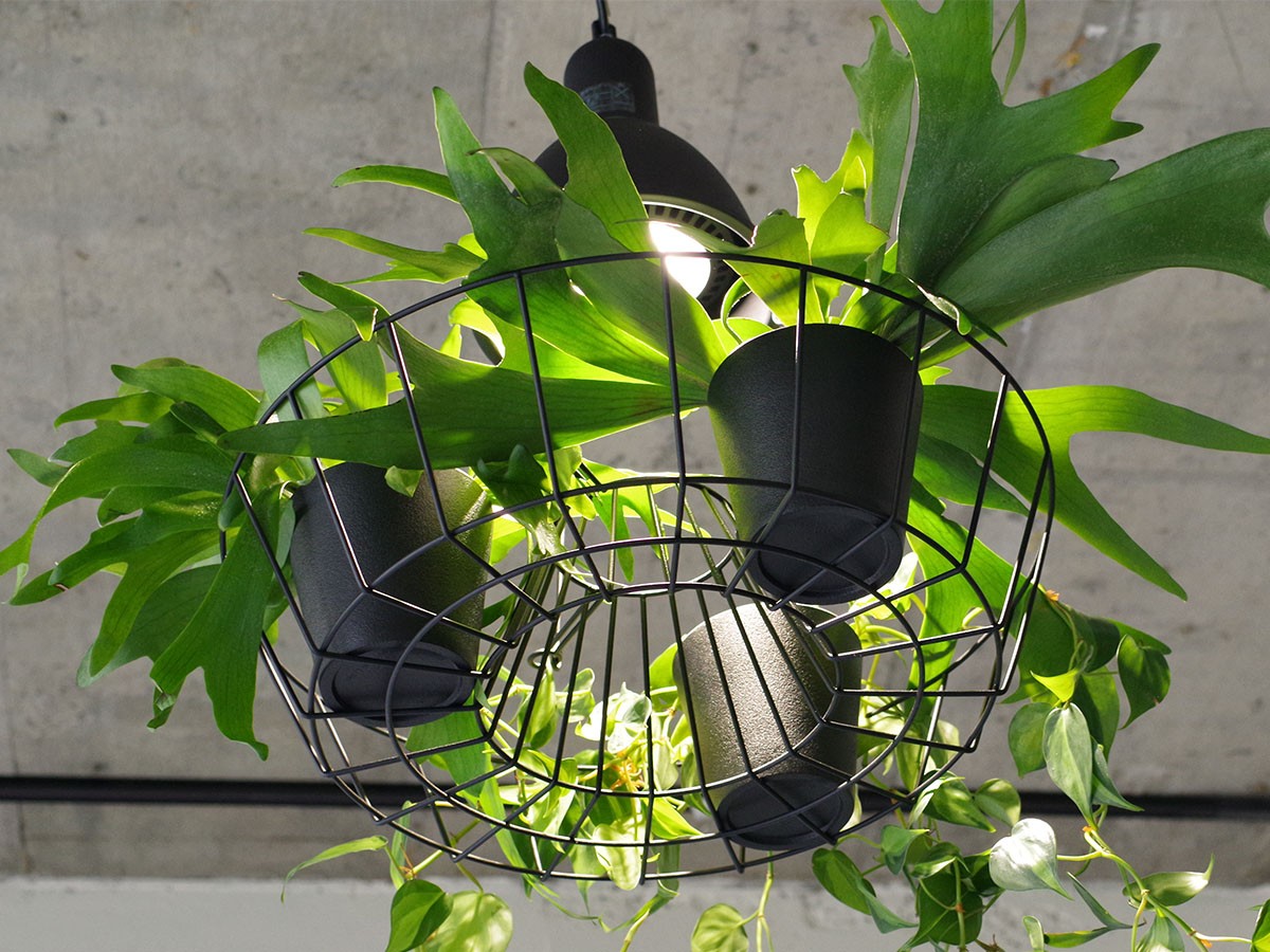 Green Pendant Light / グリーン ペンダントライト #121947 （ライト・照明 > ペンダントライト） 7