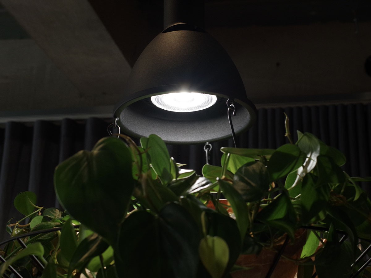 FLYMEe Factory Green Pendant Light / フライミーファクトリー