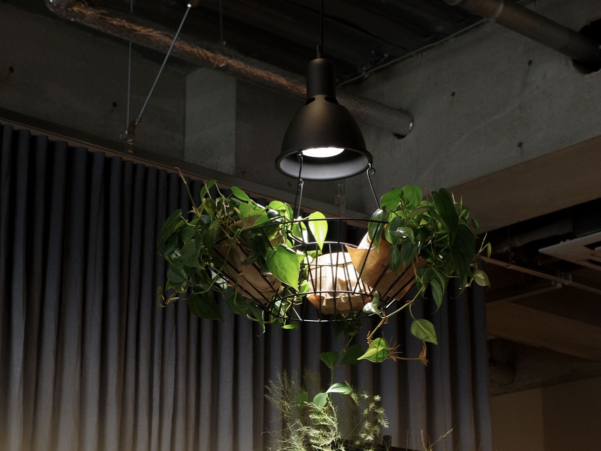 Green Pendant Light / グリーン ペンダントライト #121947 （ライト・照明 > ペンダントライト） 12