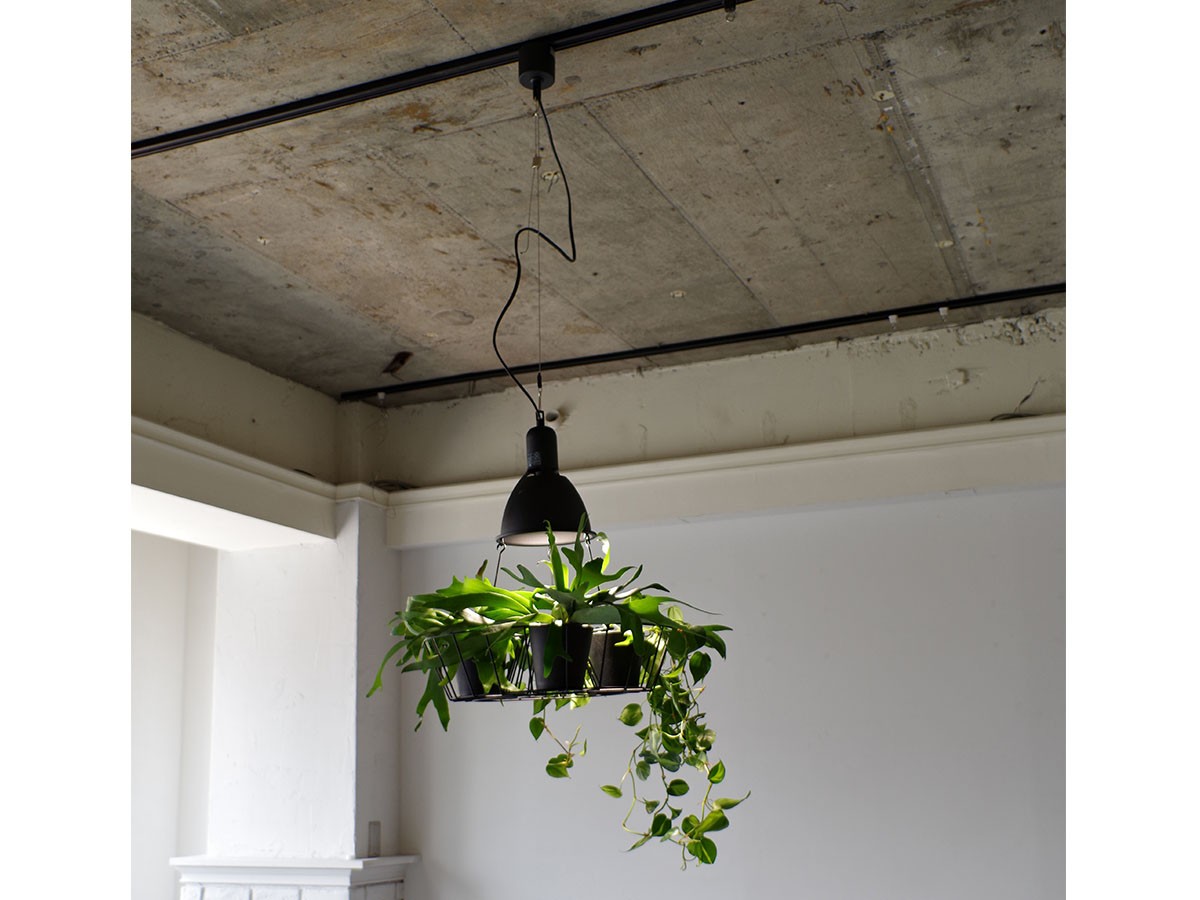 Green Pendant Light / グリーン ペンダントライト #121947 （ライト・照明 > ペンダントライト） 3