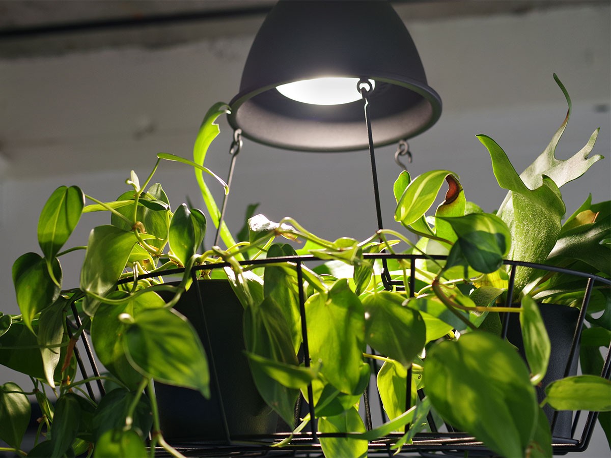 FLYMEe Factory Green Pendant Light / フライミーファクトリー