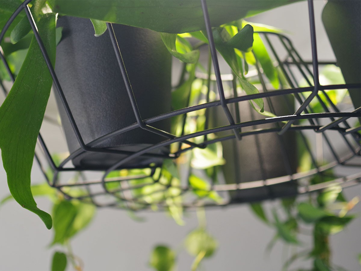 Green Pendant Light / グリーン ペンダントライト #121947 （ライト・照明 > ペンダントライト） 11