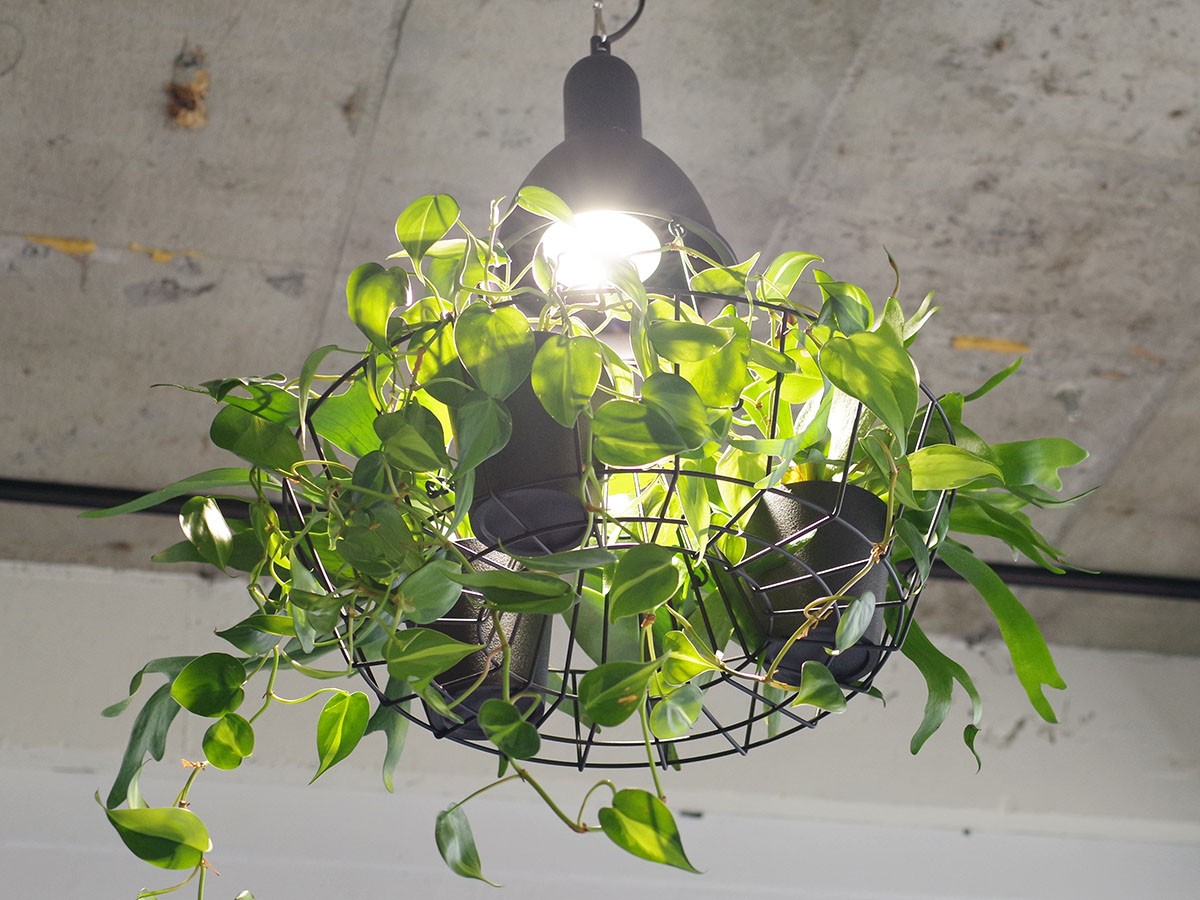 Green Pendant Light / グリーン ペンダントライト #121947 （ライト・照明 > ペンダントライト） 6