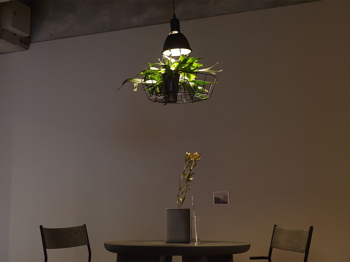 Green Pendant Light / グリーン ペンダントライト #121947 （ライト・照明 > ペンダントライト） 15