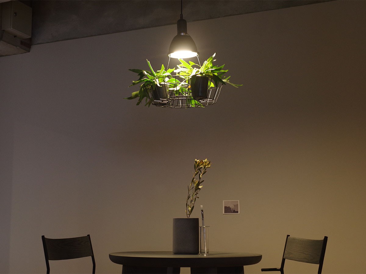 Green Pendant Light / グリーン ペンダントライト #121947 （ライト・照明 > ペンダントライト） 17