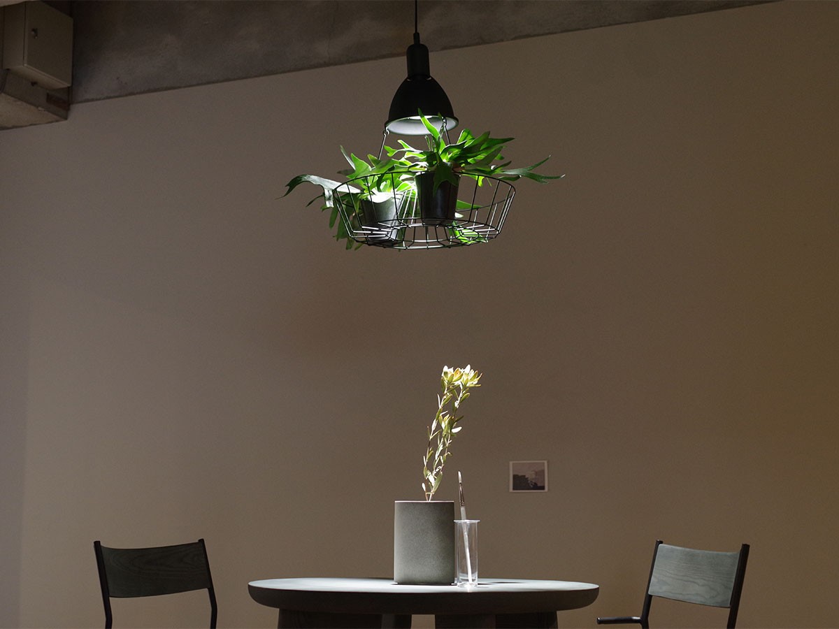 Green Pendant Light / グリーン ペンダントライト #121947 （ライト・照明 > ペンダントライト） 19