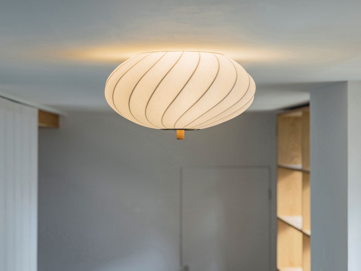 Ceiling Light / シーリングライト #122635 （ライト・照明 > シーリングライト） 3