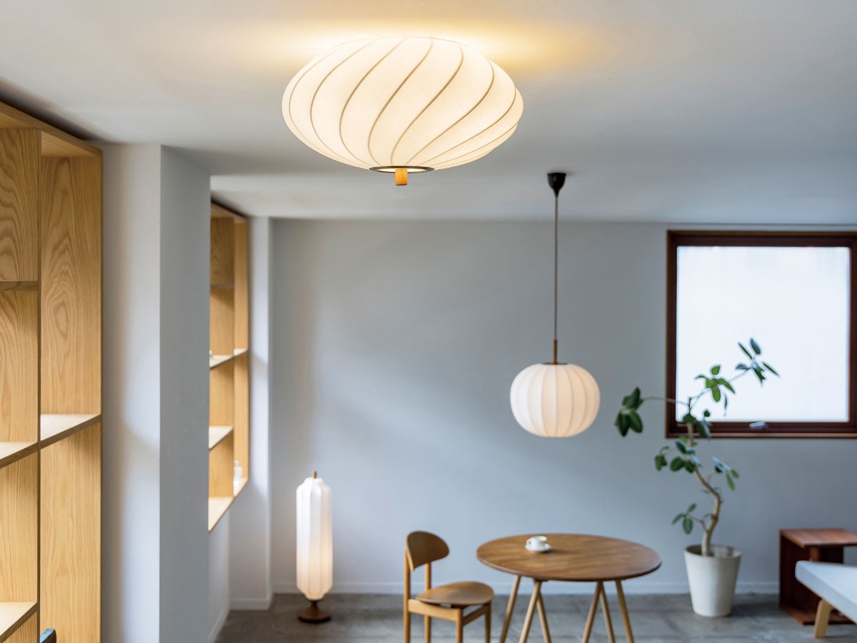 Ceiling Light / シーリングライト #122635 （ライト・照明 > シーリングライト） 2