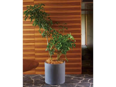 鉢・プランターボックス - インテリア・家具通販【FLYMEe】