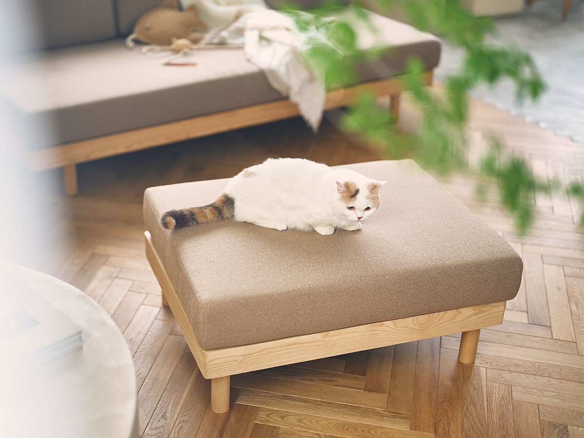 morning daybed ottoman / モーニング デイベッド オットマン（ペット対応生地） （ソファ > オットマン） 23