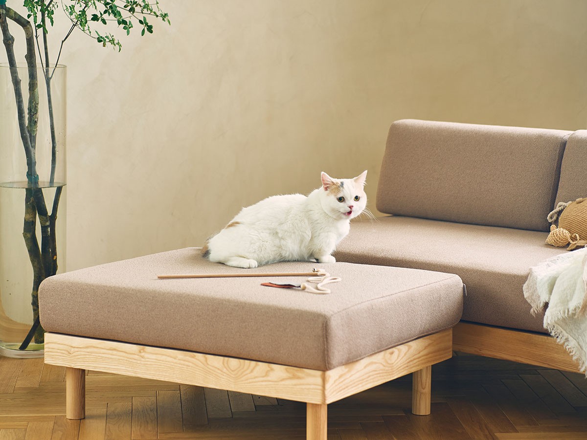 morning daybed ottoman / モーニング デイベッド オットマン（ペット対応生地） （ソファ > オットマン） 22