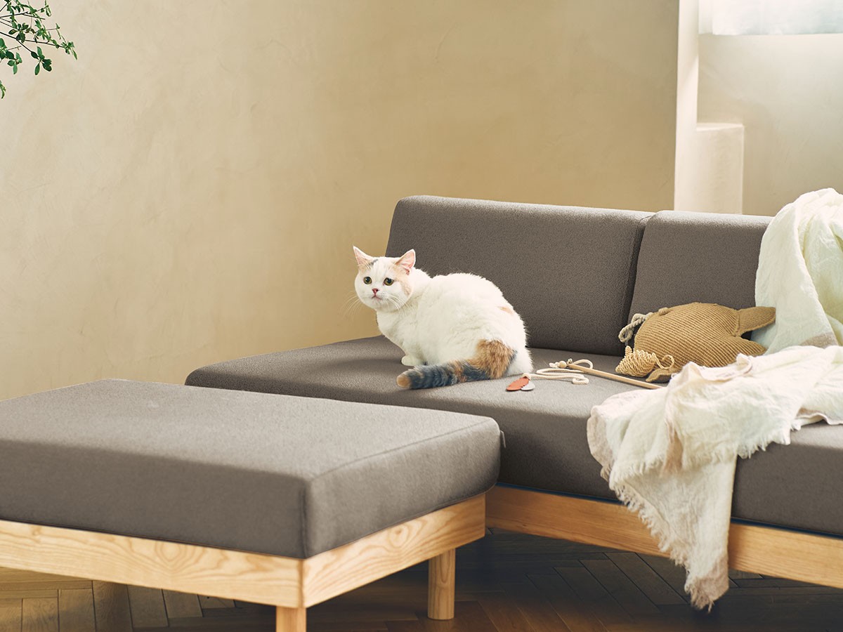 morning daybed ottoman / モーニング デイベッド オットマン（ペット対応生地） （ソファ > オットマン） 12