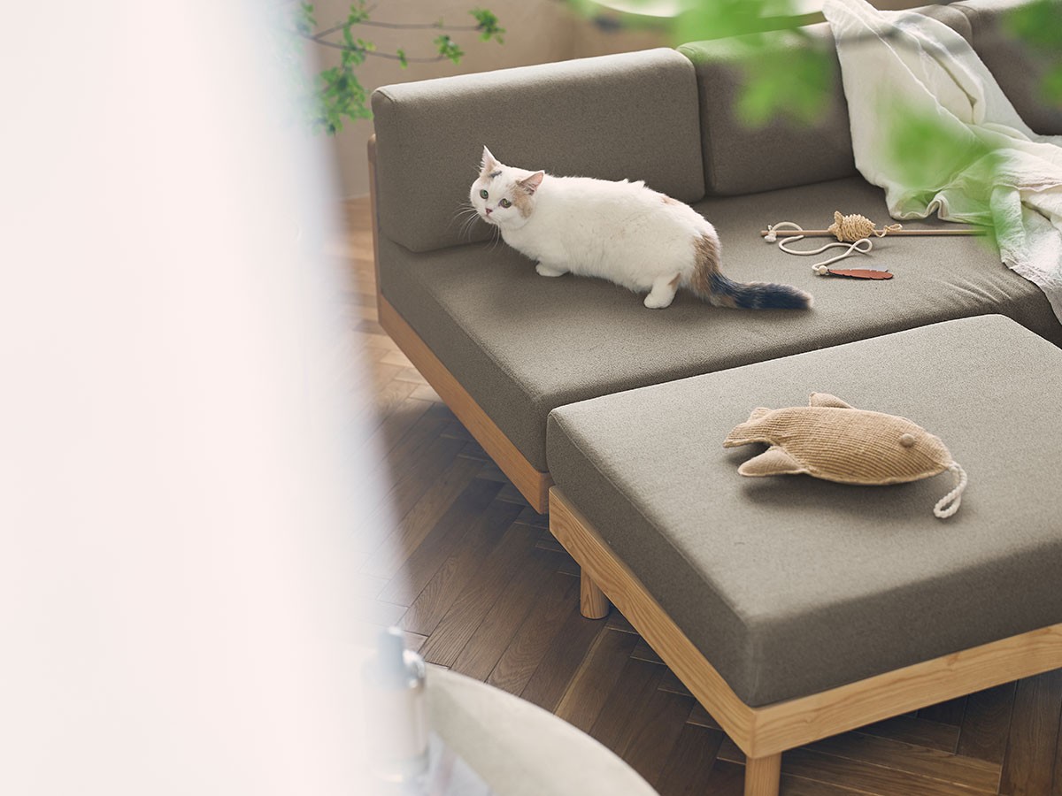 morning daybed ottoman / モーニング デイベッド オットマン（ペット対応生地） （ソファ > オットマン） 14