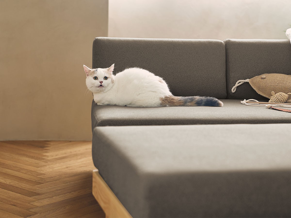 morning daybed ottoman / モーニング デイベッド オットマン（ペット対応生地） （ソファ > オットマン） 19