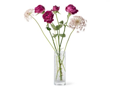 Henry Dean ジャージーS Henry Dean V.Jerzy S / ヘンリーディーン V