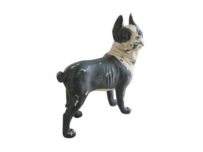 FLYMEe ZOO BOSTON TERRIER / フライミーズー ボストン・テリア