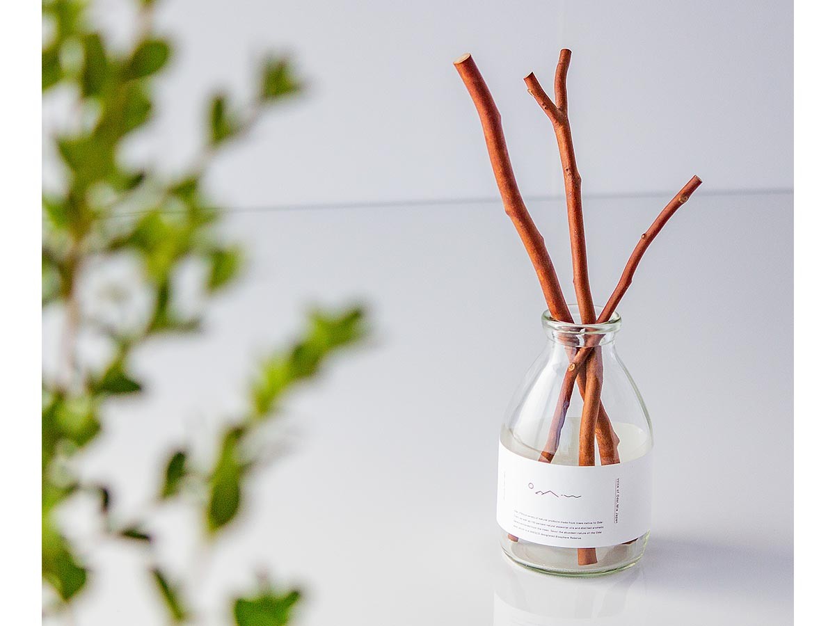 Odai reed diffuser set himeshara / オオダイ リードディフューザーセット ヒメシャラ 森林の香り （インテリア雑貨 > ルームフレグランス） 3
