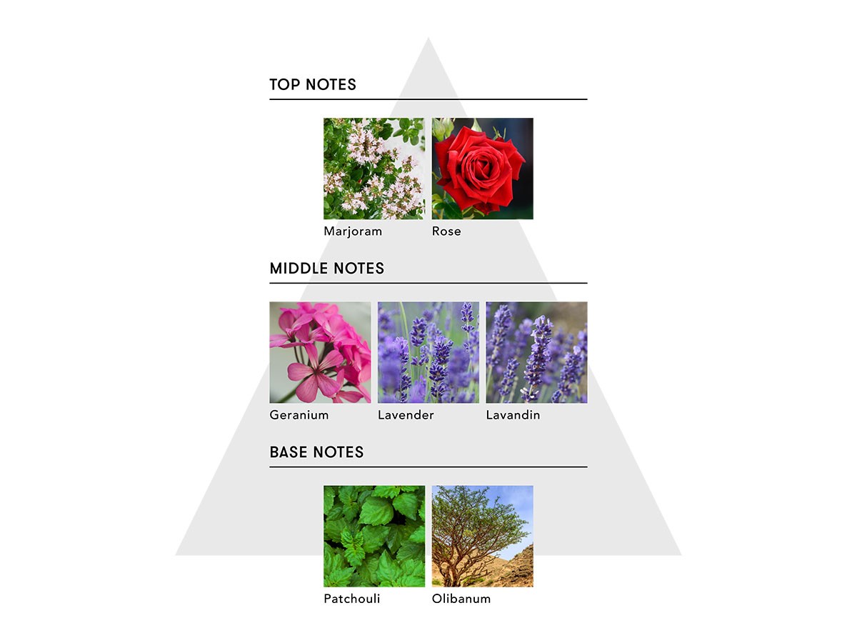 SINN PURETE Too Good Multi-Benefit Oil / シンピュルテ トゥーグッド マルチベネフィットオイル
Passionate Awakening / 情熱的な目覚め （インテリア雑貨 > ボディケア） 15