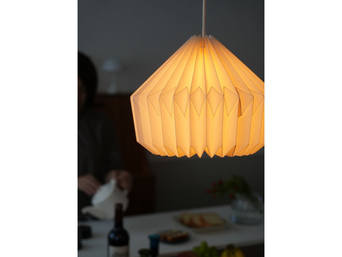 MANE Lamp Shade / モーネ ランプシェード ルーフ （ライト・照明 > ペンダントライト） 12