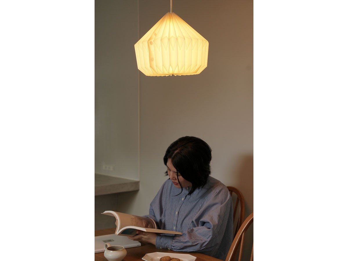 MANE Lamp Shade / モーネ ランプシェード ルーフ （ライト・照明 > ペンダントライト） 13