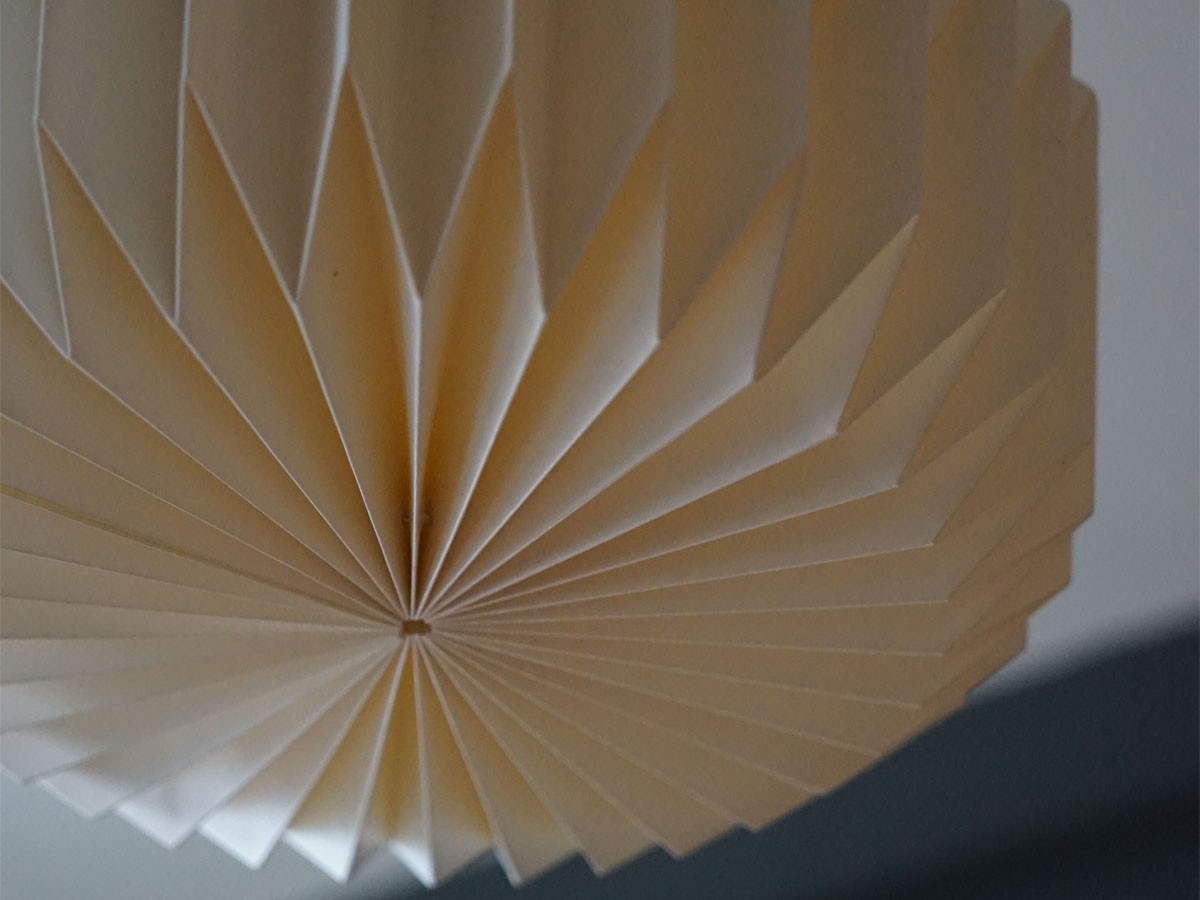MANE Lamp Shade / モーネ ランプシェード ルーフ （ライト・照明 > ペンダントライト） 19