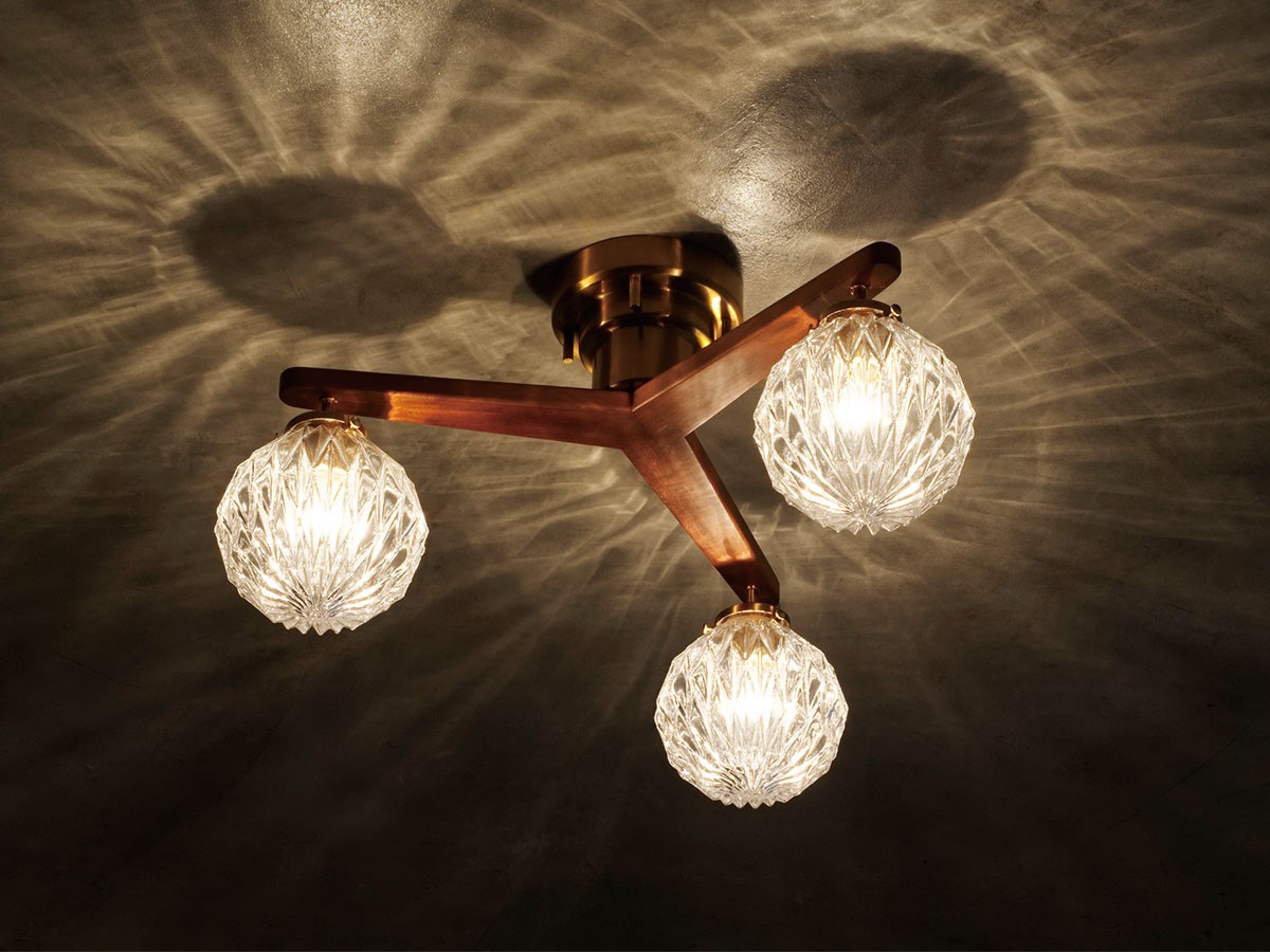 FLYMEe Parlor Ceiling Light