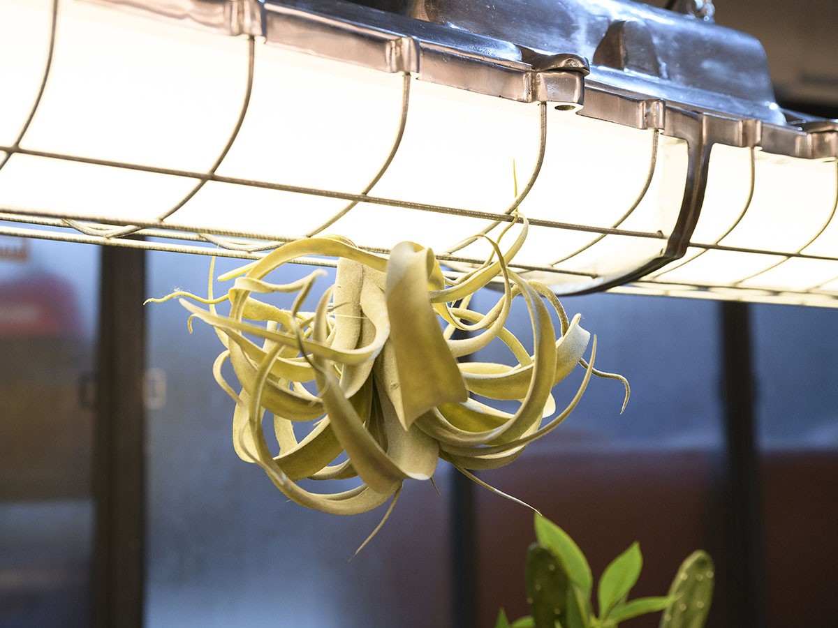 Gauge Tube Lamp / ゲージ チューブランプ （ライト・照明 > ペンダントライト） 11