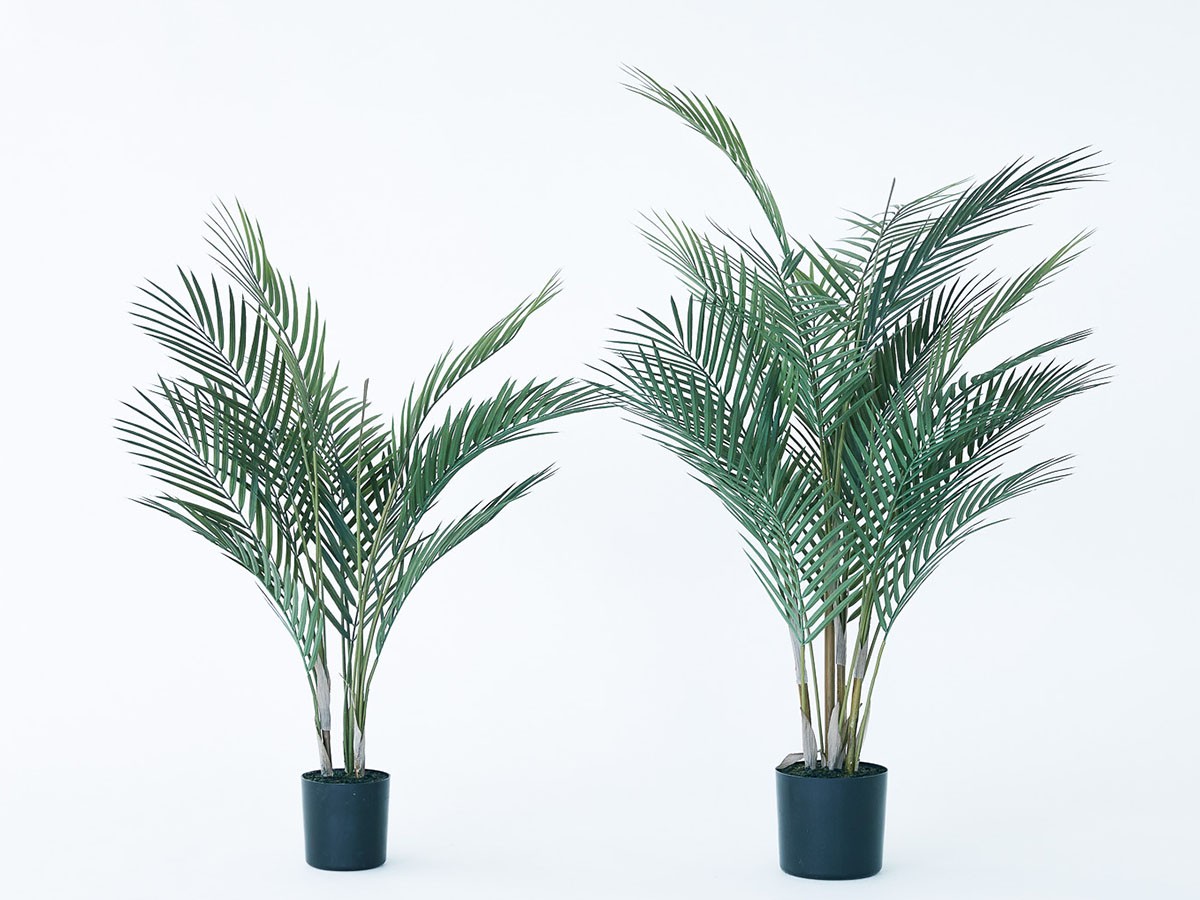 BROWN Areca Palm Pot / ブラウン アレカヤシ ポット 70 （花器・プランター・グリーン > フェイクグリーン・フェイクフラワー） 2