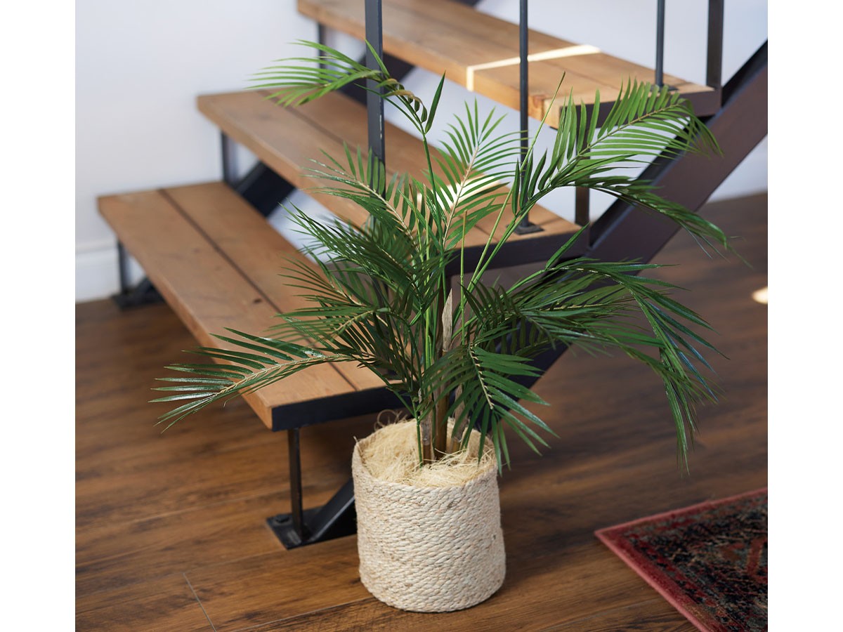 BROWN Areca Palm Pot / ブラウン アレカヤシ ポット 70 （花器・プランター・グリーン > フェイクグリーン・フェイクフラワー） 3