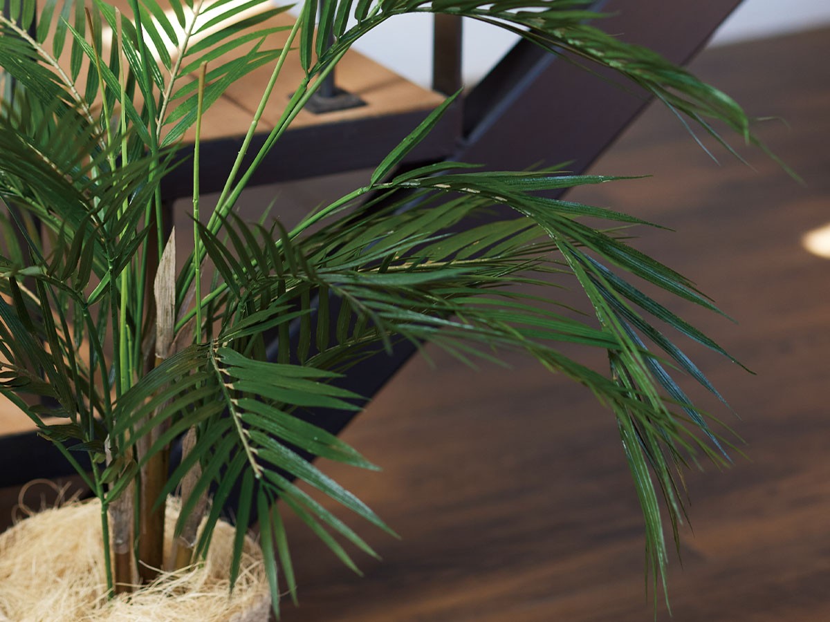 BROWN Areca Palm Pot / ブラウン アレカヤシ ポット 70 （花器・プランター・グリーン > フェイクグリーン・フェイクフラワー） 4