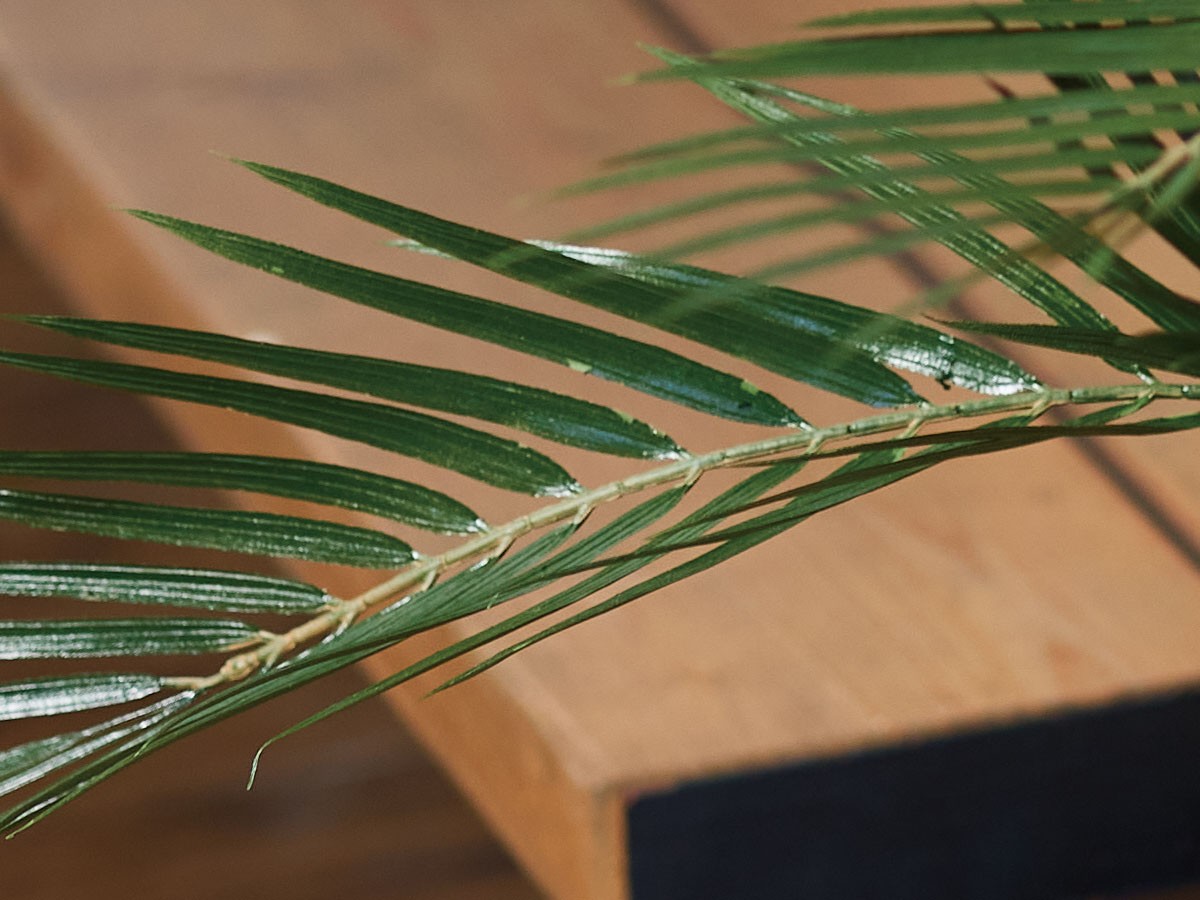 BROWN Areca Palm Pot / ブラウン アレカヤシ ポット 70 （花器・プランター・グリーン > フェイクグリーン・フェイクフラワー） 5