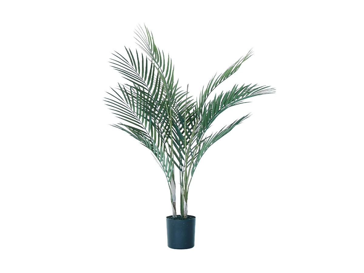 BROWN Areca Palm Pot