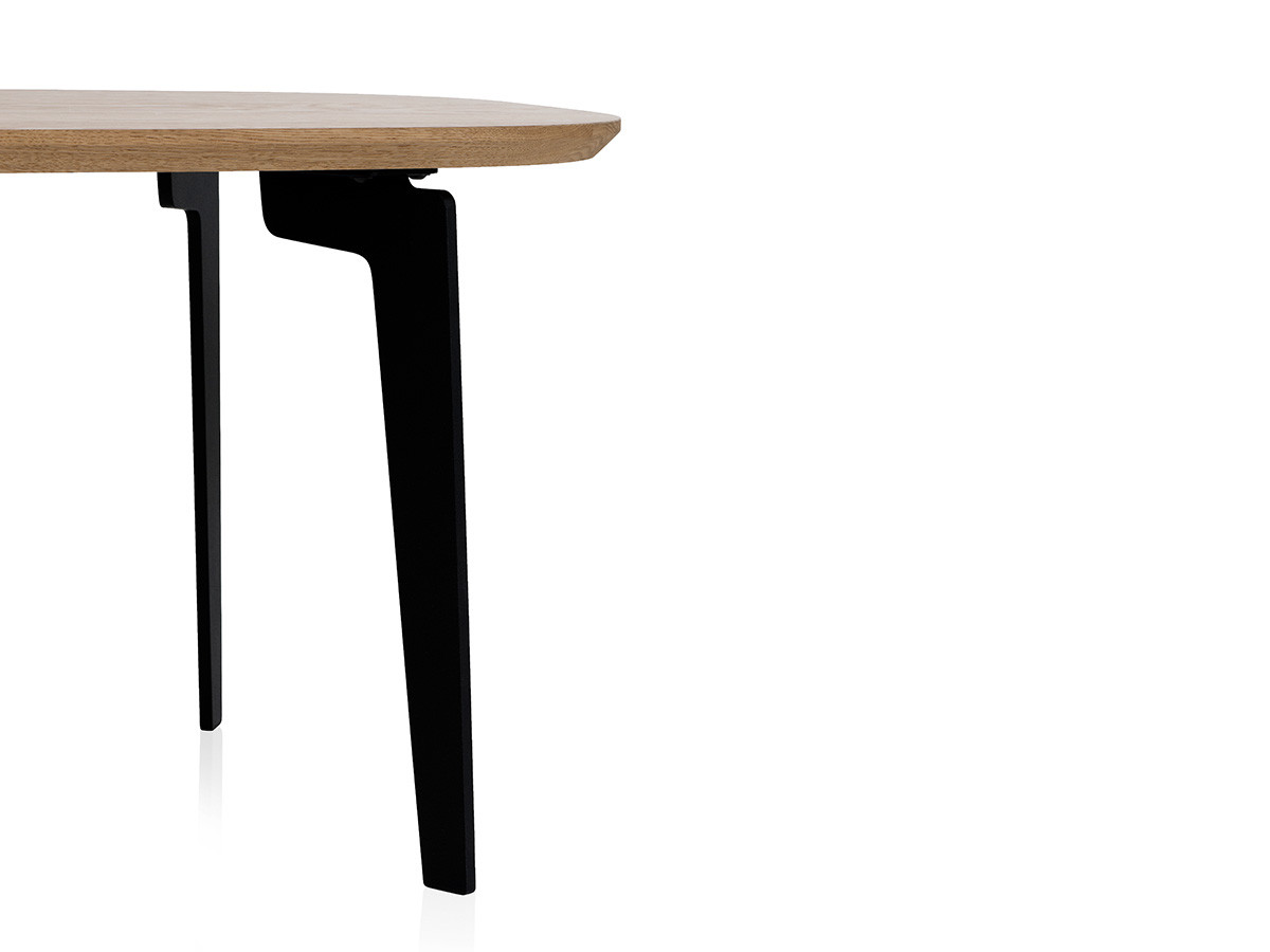 FRITZ HANSEN JOIN / フリッツ・ハンセン ジョインテーブル
コーヒーテーブル 楕円形 FH21 / FH61 （テーブル > ローテーブル・リビングテーブル・座卓） 10