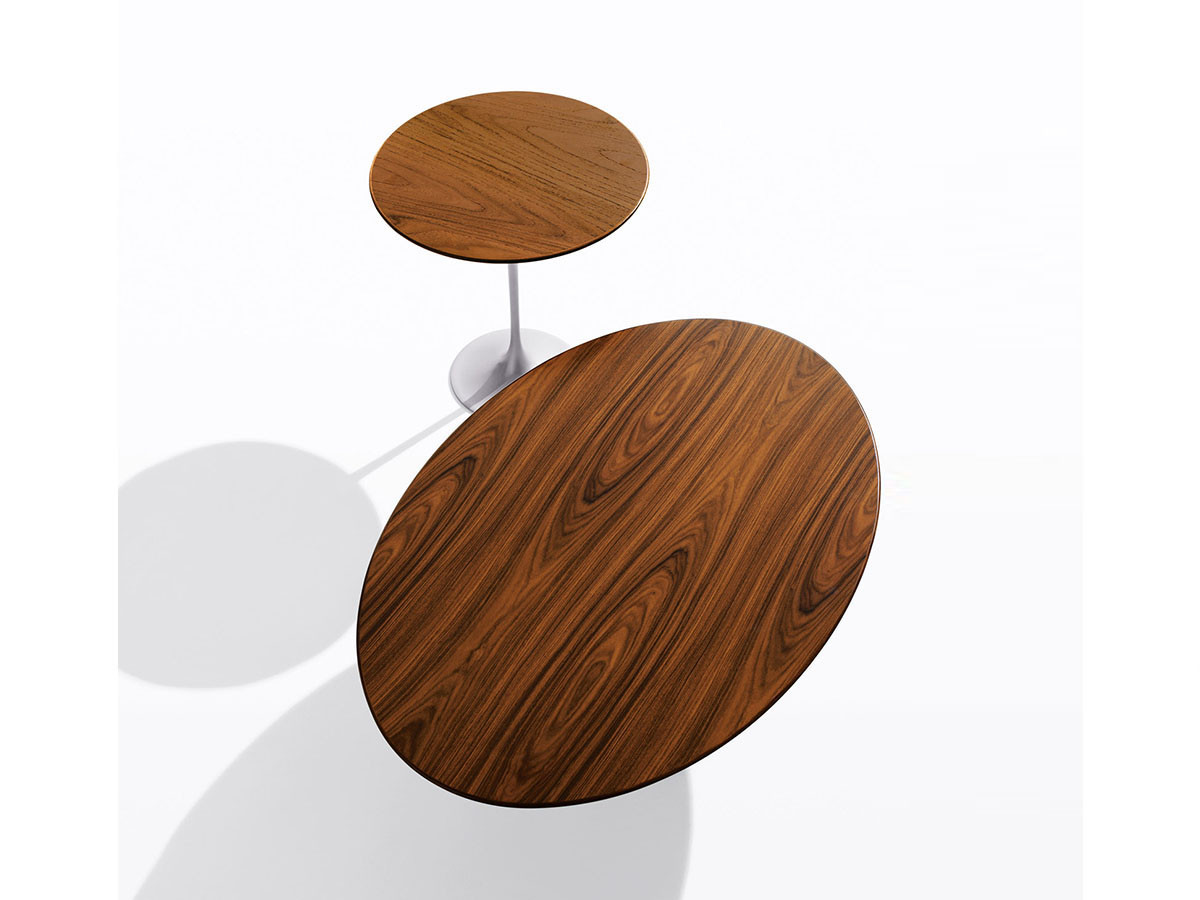 Saarinen Collection
Oval Coffee Table 6